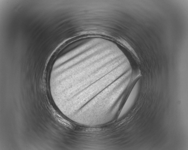 X0000081581068200702121442