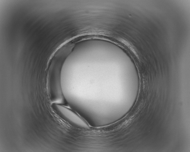 X0000081581069200702121442