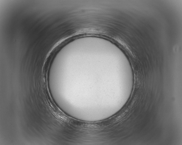 X0000081581070200702121442