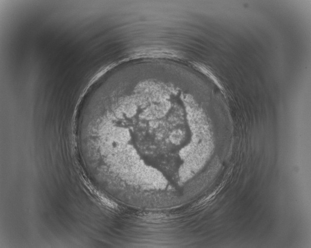 X0000081581071200702121442