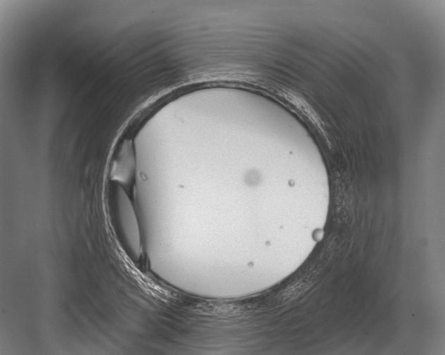 X0000081581072200702121441