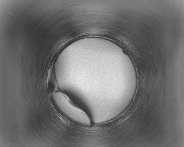 X0000081581073200702121441