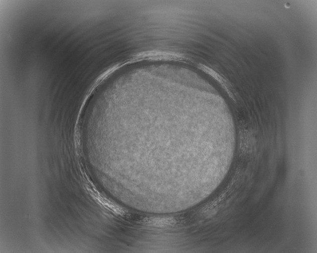 X0000081581074200702121441