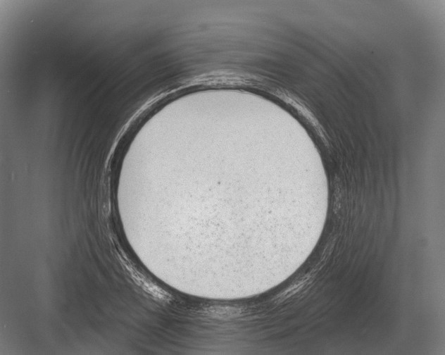 X0000081581075200702121441