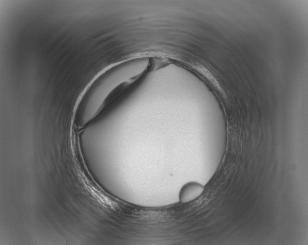 X0000081581076200702121441