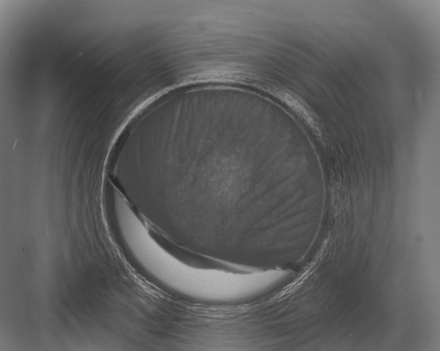 X0000081581077200702121441