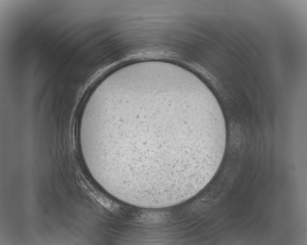 X0000081581078200702121441