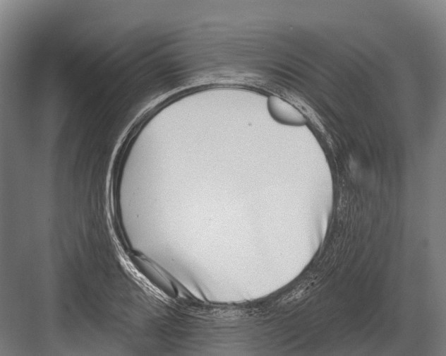 X0000081581080200702121441