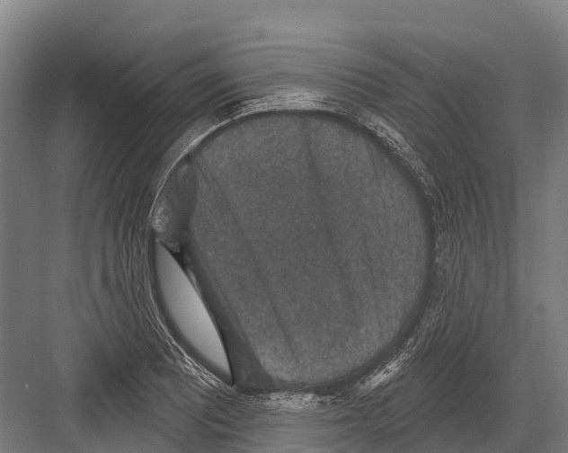 X0000081581081200702121441