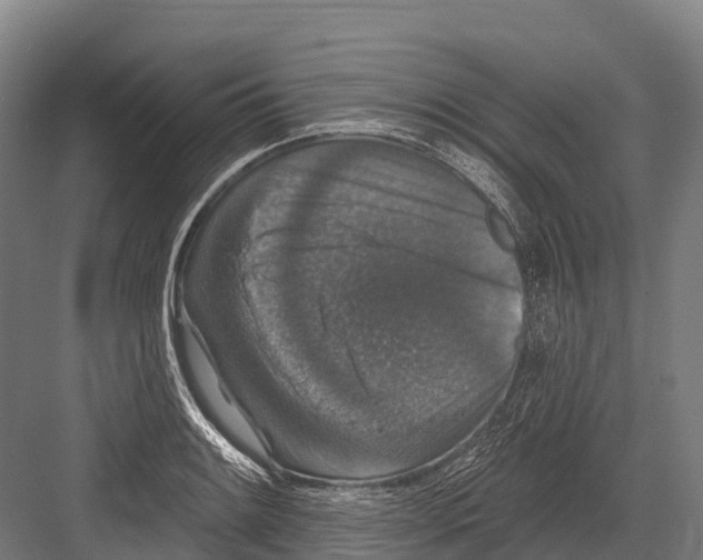 X0000081581084200702121441