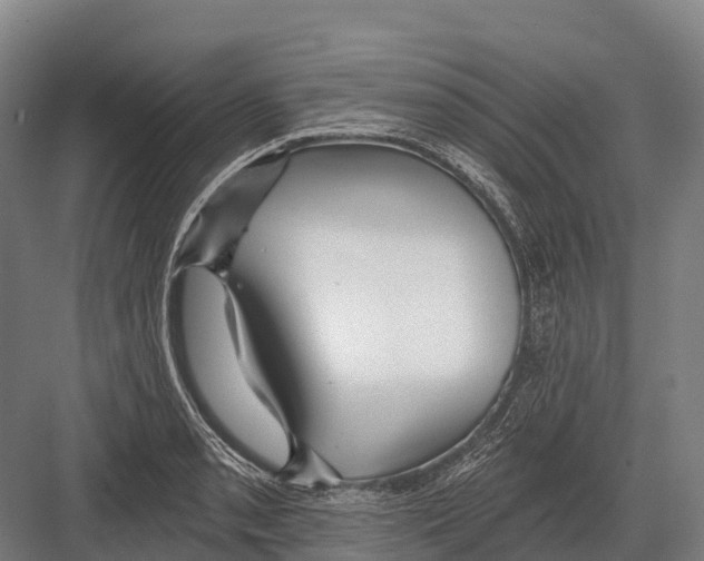 X0000081581085200702121441