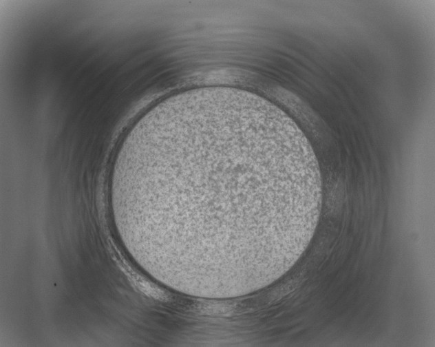 X0000081581086200702121441