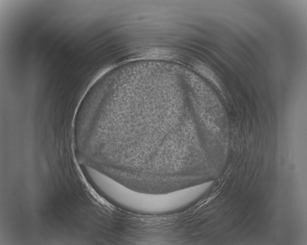 X0000081581087200702121441