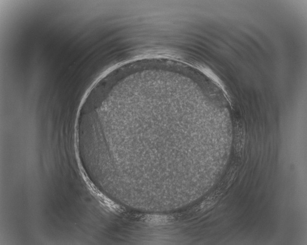 X0000081581088200702121441