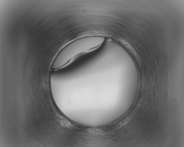 X0000081581089200702121441