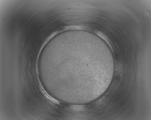 X0000081581090200702121441