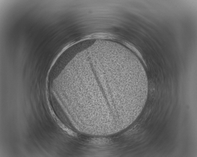 X0000081581091200702121441