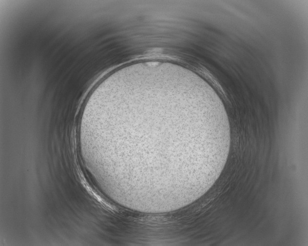 X0000081581092200702121441