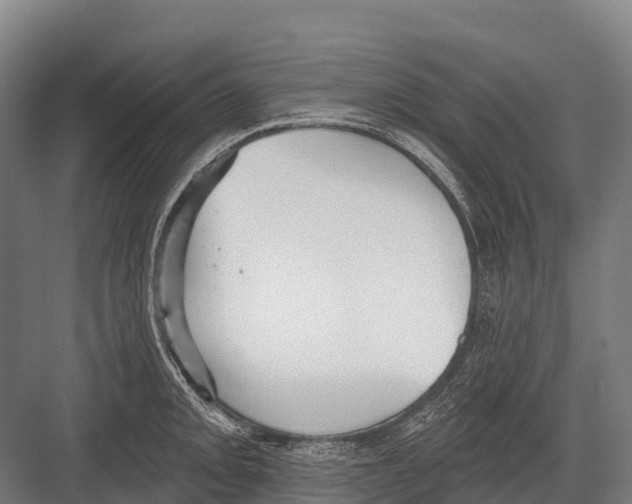 X0000081581093200702121441