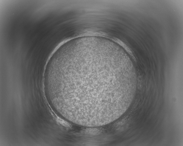 X0000081581094200702121441