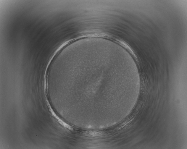 X0000081581095200702121441