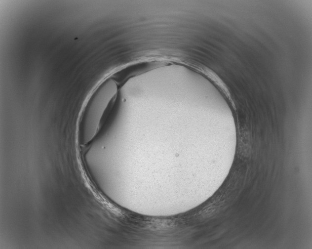 X0000081581096200702121441