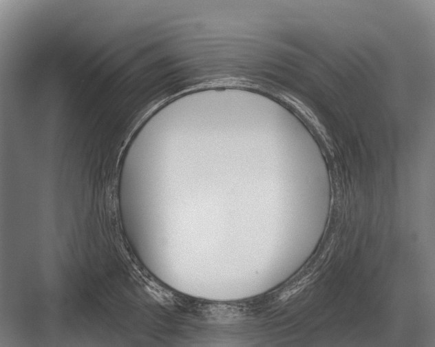 X0000081581097200702121441