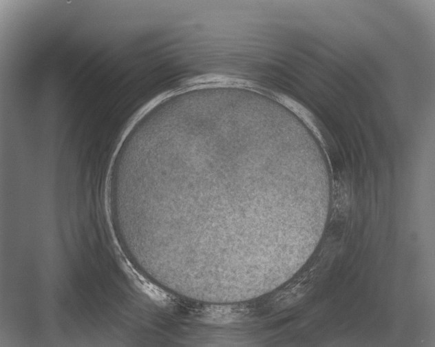 X0000081581098200702121441