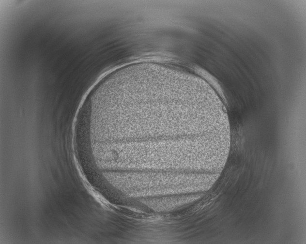 X0000081581099200702121441