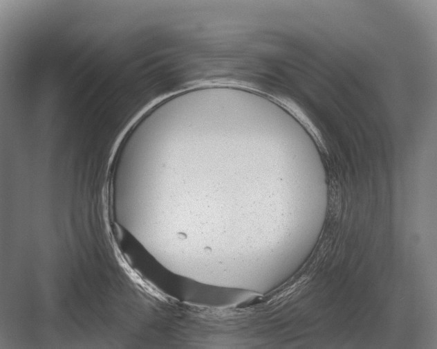 X0000081581100200702121441