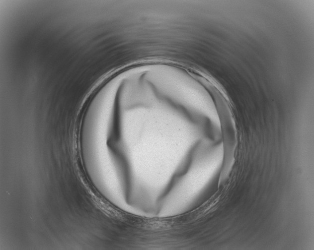 X0000081581101200702121441