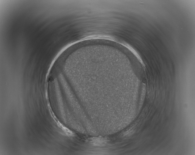 X0000081581102200702121441