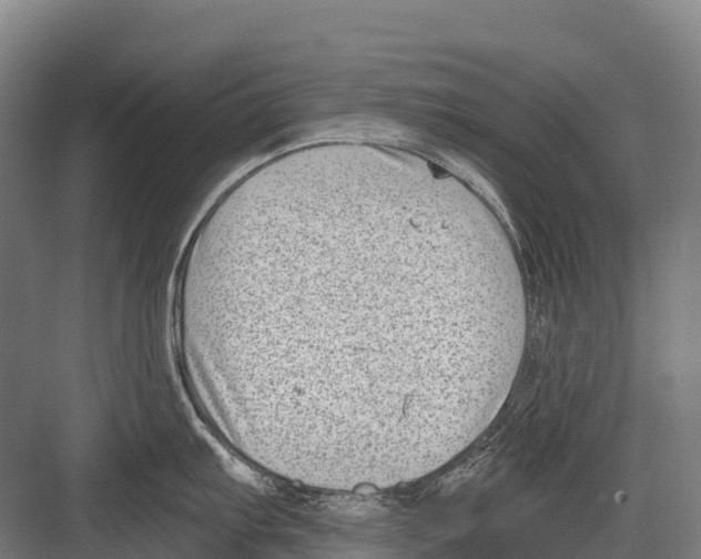 X0000081581103200702121441