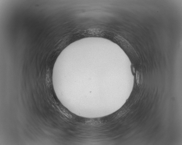 X0000081581107200702121440