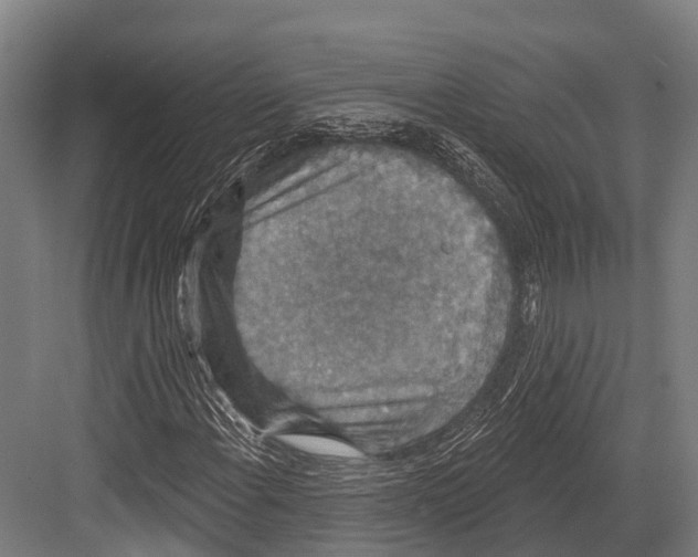 X0000081581108200702121440