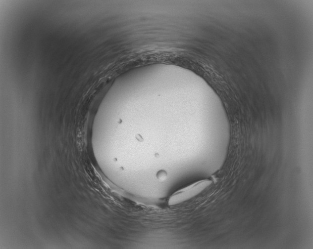 X0000081581109200702121440