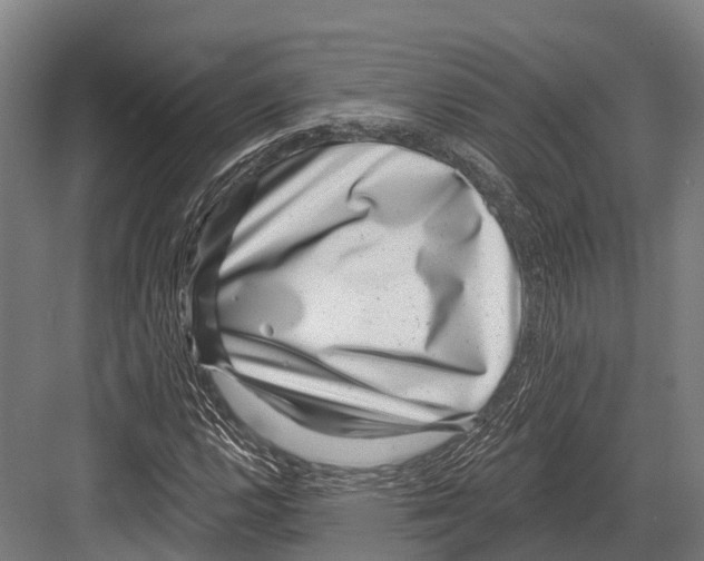 X0000081581112200702121440