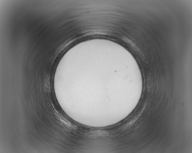 X0000081581113200702121440