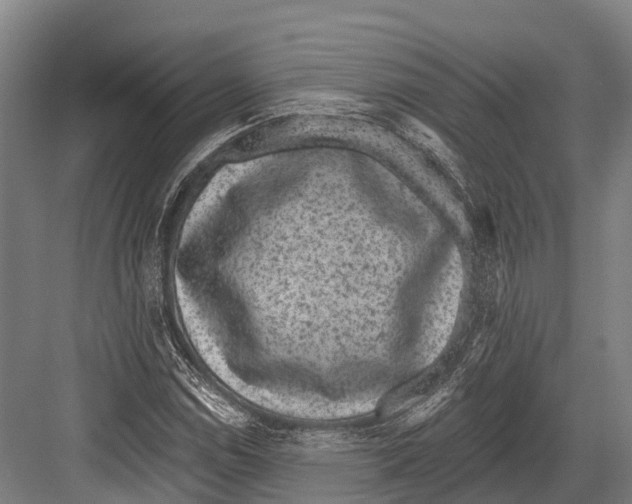 X0000081581114200702121440