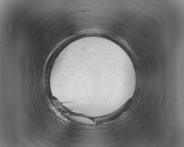 X0000081581116200702121440