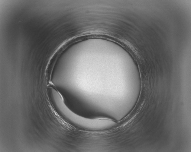 X0000081581118200702121440