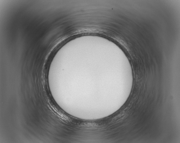 X0000081581119200702121440