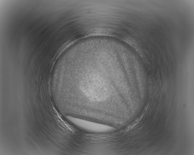 X0000081581121200702121440