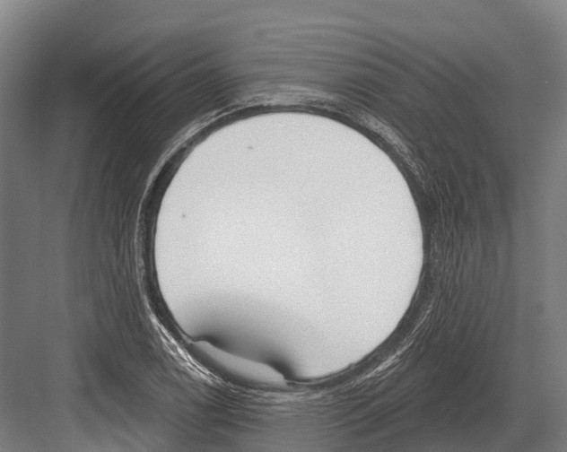 X0000081581122200702121440