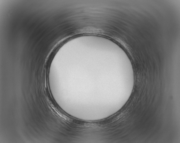 X0000081581123200702121440