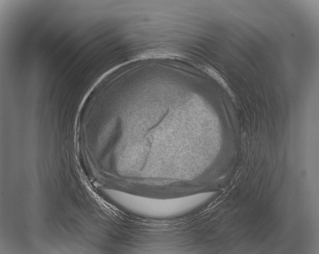 X0000081581124200702121440