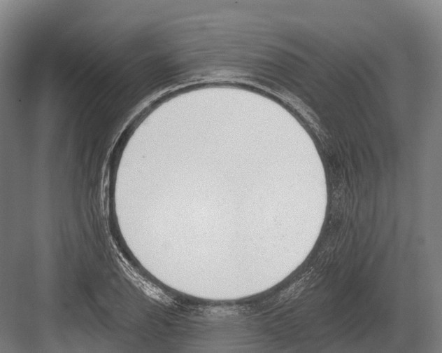 X0000081581126200702121440