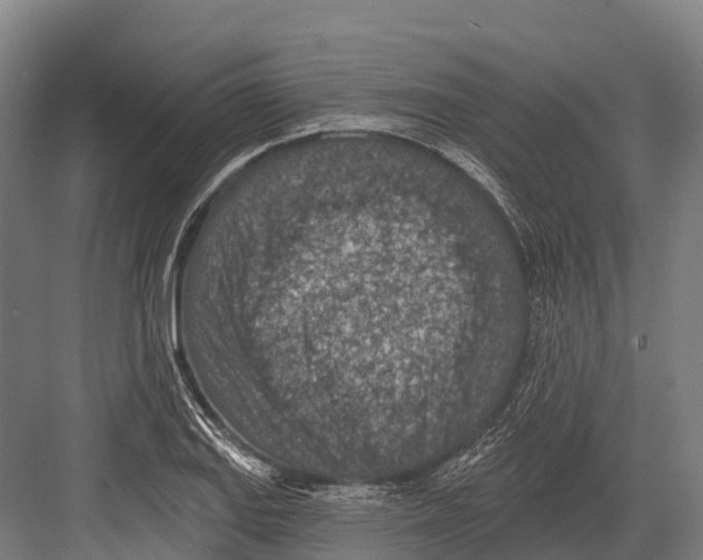 X0000081581127200702121441