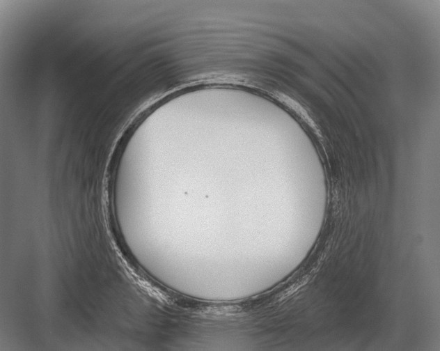 X0000081581133200702121441