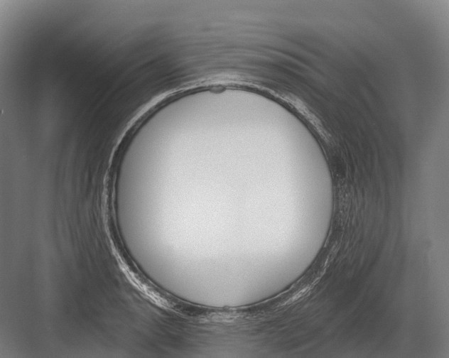 X0000081581134200702121441